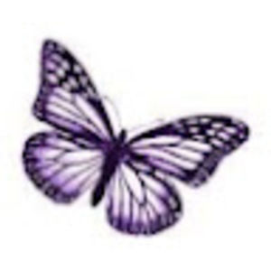 Meet your Posher, Baylor